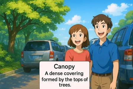 Canopy Meaning