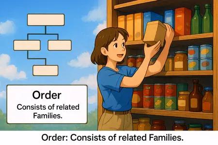 Order Meaning