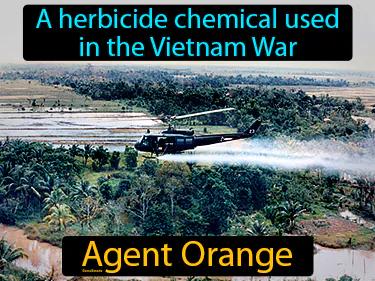 Agent Orange Meaning