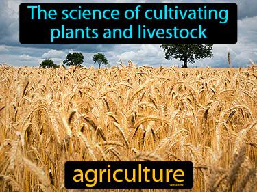 Agriculture Meaning