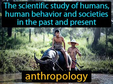 Anthropology Meaning
