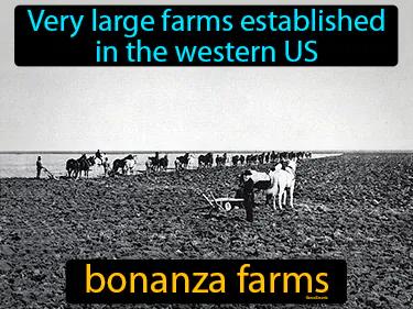 Bonanza Farms Meaning