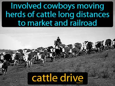 Cattle Drive Meaning