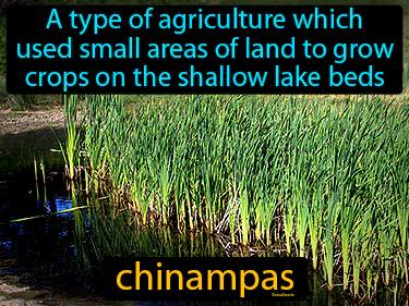 Chinampas Meaning