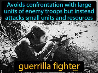 Guerrilla Fighter Meaning