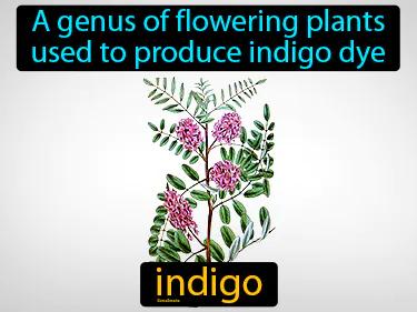 Indigo Meaning