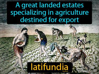 Latifundia Meaning