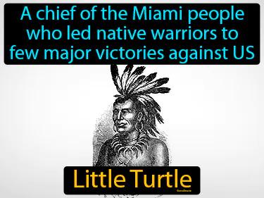 Little Turtle Meaning