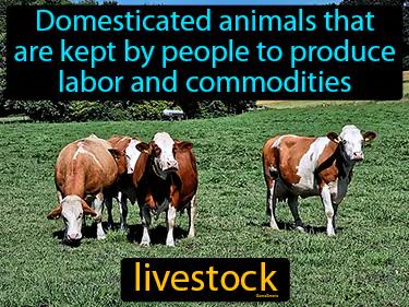 Livestock Meaning
