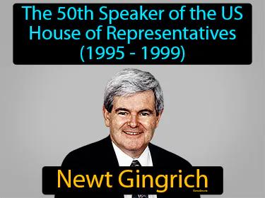 Newt Gingrich Meaning