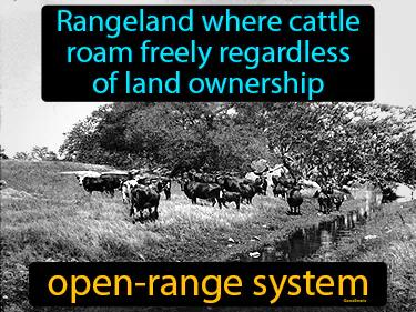 Open Range System Meaning