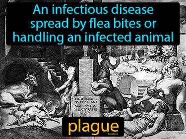 Plague Meaning