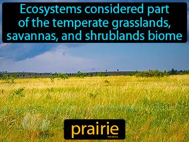 Prairie Meaning
