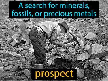 Prospect Meaning