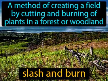 Slash And Burn Meaning