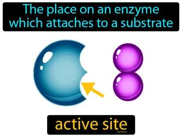 Active Site Meaning