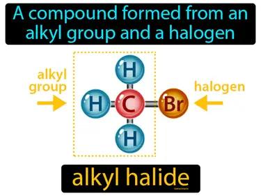 Alkyl Halide Meaning