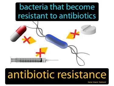 Antibiotic Resistance Meaning