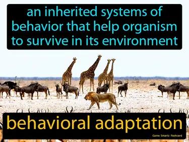 Behavioral Adaptation Meaning