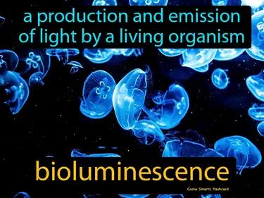 Bioluminescence Meaning