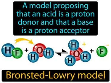 Bronsted-Lowry Model Meaning
