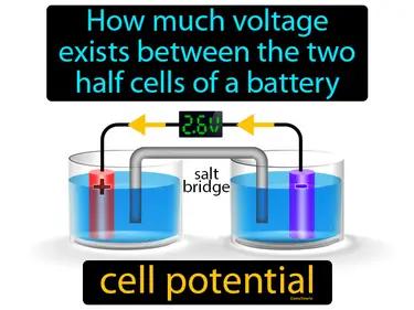 Cell Potential Meaning