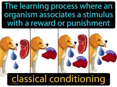 Classical Conditioning Meaning