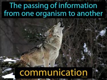 Communication Meaning