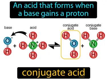 Conjugate Acid Meaning