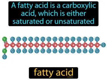 Fatty Acid Meaning