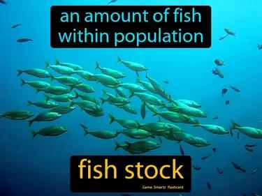 Fish Stock Meaning