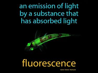 Fluorescence Meaning