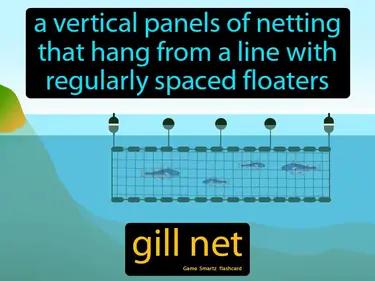 Gill Net Meaning
