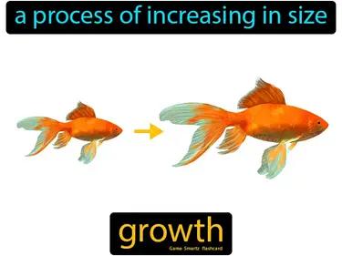 Growth Meaning