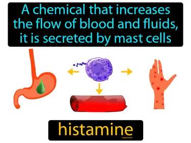 Histamine Meaning