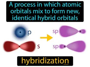Hybridization Meaning