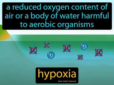 Hypoxia Meaning