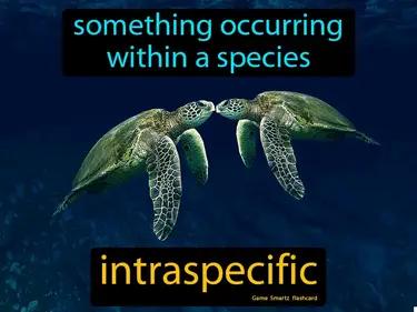 Intraspecific Meaning