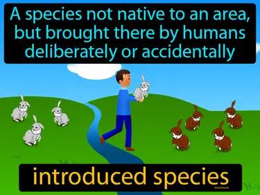 Introduced Species Meaning