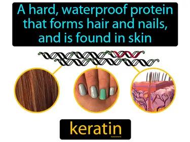 Keratin Meaning
