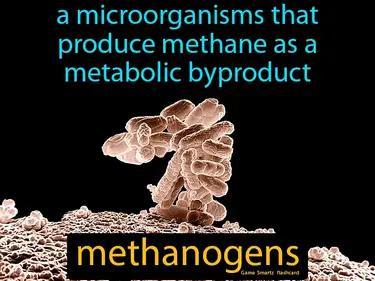 Methanogens Meaning