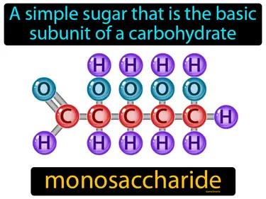 Monosaccharide Meaning