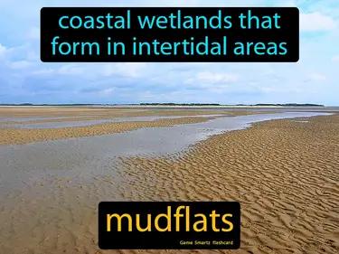 Mudflats Meaning