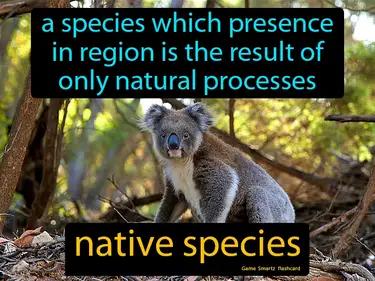 Native Species Meaning