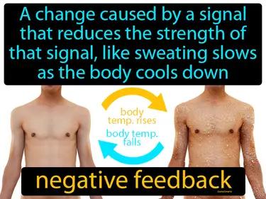 Negative Feedback Meaning