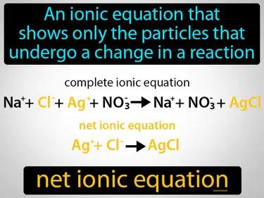 Net Ionic Equation Meaning