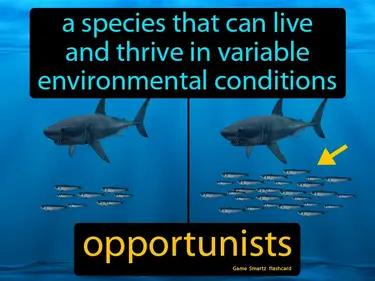 Opportunists Meaning
