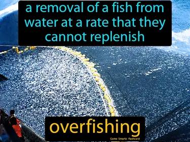 Overfishing Meaning