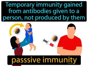 Passive Immunity Meaning