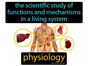 Physiology Meaning